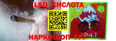 apvp Партизанск